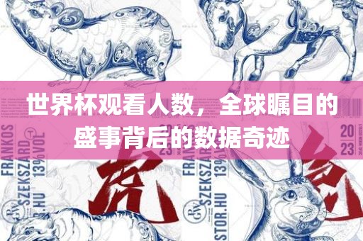 世界杯观看人数，全球瞩目的盛事背后的数据奇迹