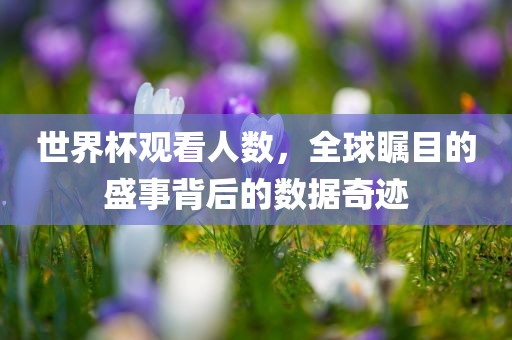 世界杯观看人数，全球瞩目的盛事背后的数据奇迹