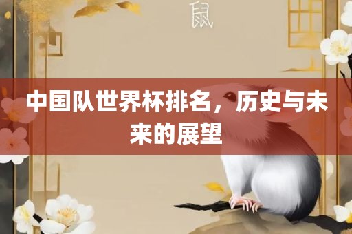 中国队世界杯排名，历史与未来的展望金炬实业股份有限公司