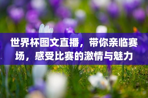 世界杯图文直播，带你亲临赛场，感受比赛的激情与魅力