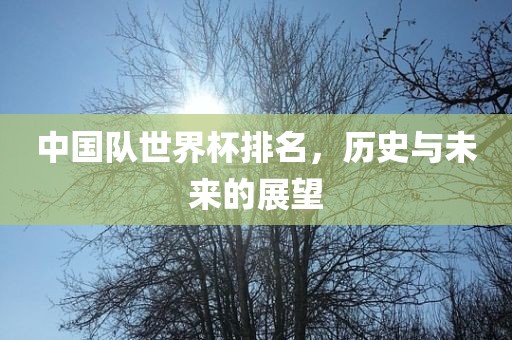 中国队世界杯排名，历史与未来的展望金炬实业股份有限公司
