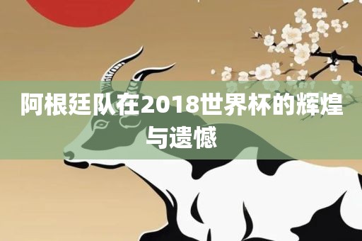 阿根廷队在2018世界杯的辉煌与遗憾金炬实业股份有限公司