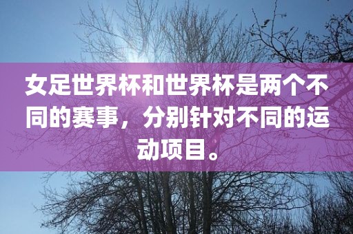 女足世界杯和世界杯是两个不同的赛事，分别针对不同的运动项目。金炬实业股份有限公司