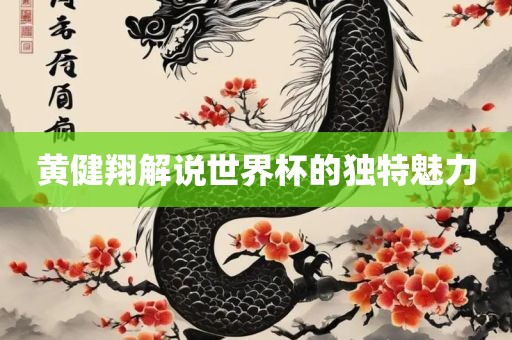 黄健翔解说世界杯的独特魅力