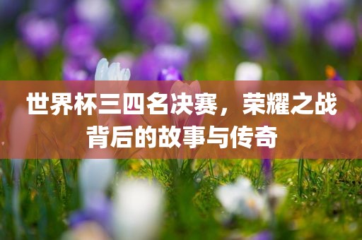 世界杯三四名决赛，荣耀之战背后的故事与传奇