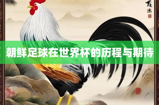 朝鲜足球在世界杯的历程与期待金炬实业股份有限公司