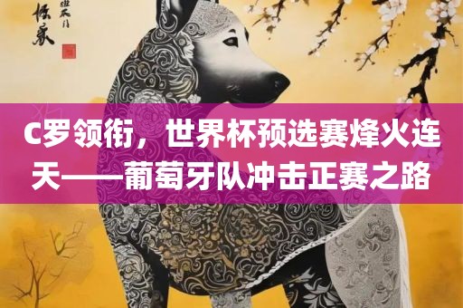 C罗领衔，世界杯预选赛烽火连天——葡萄牙队冲击正赛之路金炬实业股份有限公司