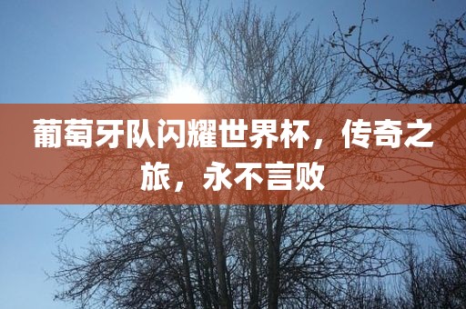 葡萄牙队闪耀世界杯，传奇之旅，永不金炬实业股份有限公司言败