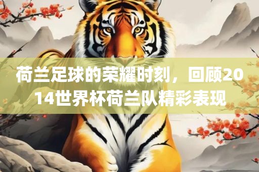 荷兰足球的荣耀时刻，回顾2014世界杯荷兰队精彩表现