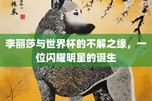 李丽莎与世界杯的不解之缘，一位闪耀明星的诞生