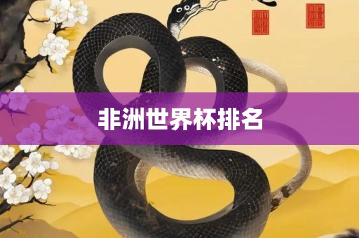 非洲世界杯排名