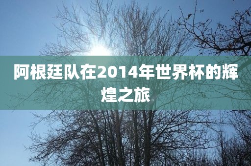 阿根廷队在2014年世界杯的辉煌之旅