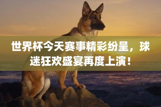 世界杯今天赛事精彩纷呈，球迷狂欢盛宴再度上演！