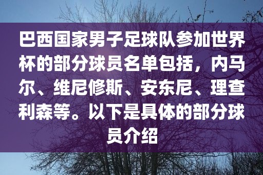 巴西国家男子足球队参加世界杯的部分球员名单包括，内马尔、维尼修斯、安东尼、理查利森等。以下是具体的部分球员介绍