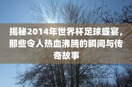 揭秘2014年世界杯足球盛宴，那些令人热血沸腾的瞬间与传奇故事