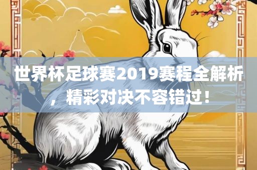 世界杯足球赛2019赛程全解析，精彩对决不容错过！