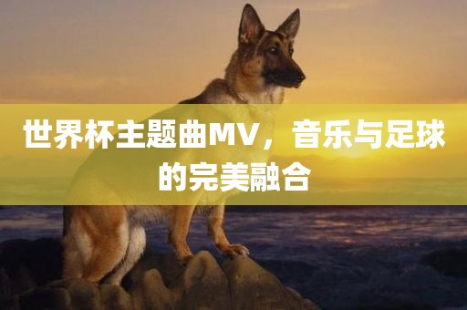 世界杯主题曲MV，音乐与足球的完美融合