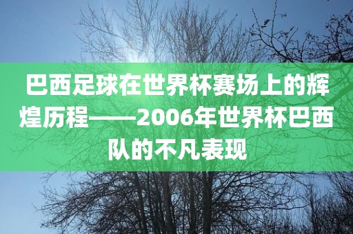 巴西足球在世界杯赛场上的辉煌历程——2006年世界杯巴西队的不凡表现金炬实业股份有限公司
