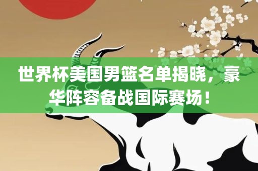 世界杯美国男篮名单揭晓，豪华阵容备战国际赛场！