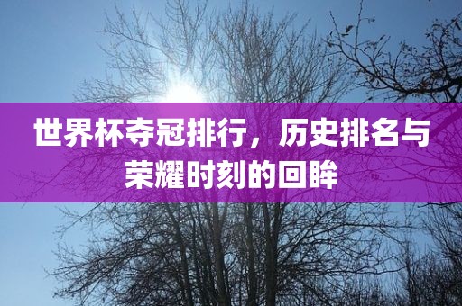 世界杯夺冠排行，历史排名与荣耀时刻的回眸金炬实业股份有限公司