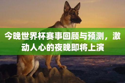 今晚世界杯赛事回顾与预测，激动人心的夜晚即将上演