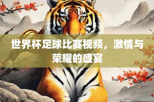 世界杯足球比赛视频，激情与荣耀的盛宴