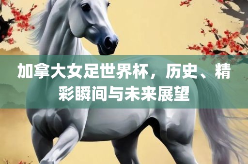 加拿大女足世界杯，历史、精彩瞬间与未来展望金炬实业股份有限公司