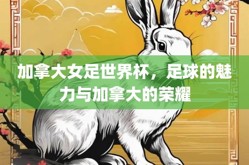 加拿大女足世界杯，足球的魅力与加拿大的荣耀