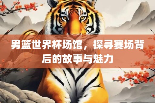 男篮世界杯场馆，探寻赛场背后的故事与魅力