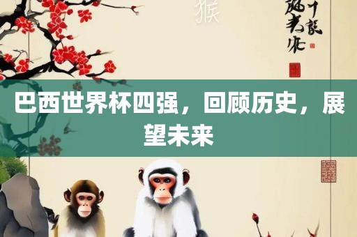 巴西世界杯四强，回顾历史，展望未来金炬实业股份有限公司