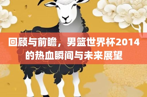 回顾与前瞻，男篮世界杯2014的热血瞬间与未来展望金炬实业股份有限公司