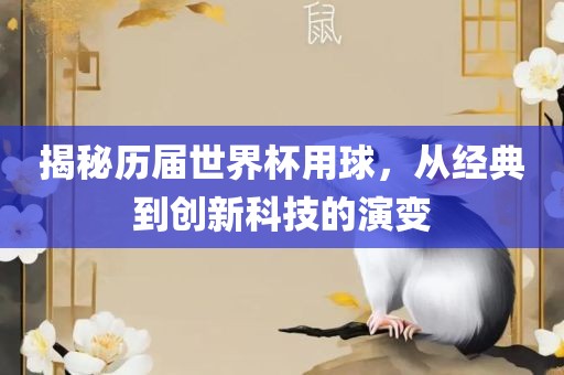 揭秘历届世界杯用球，从经典到创新科技的演变