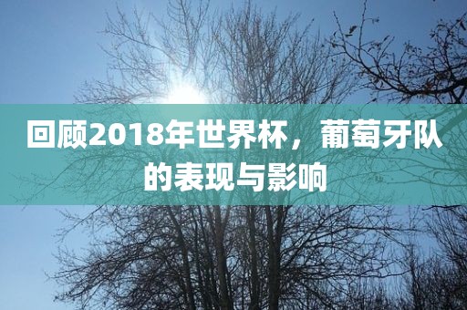 回顾2018年世界杯，葡萄牙队的表现与影响