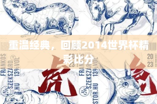 重温经典，回顾2014世界杯精彩比分
