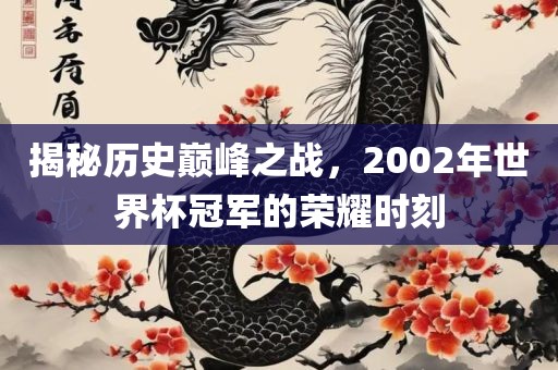 揭秘历史巅峰之战，2002年世界杯冠军的荣耀时刻