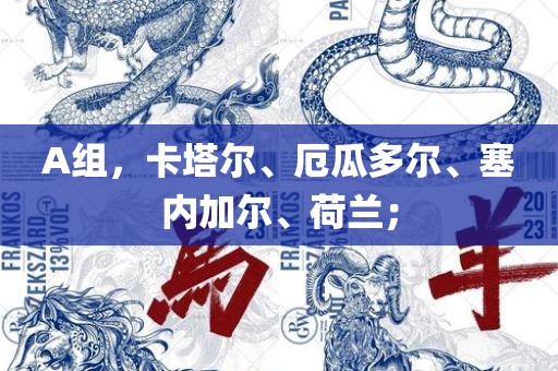 A组，卡塔尔、厄瓜多尔、塞内加尔、荷兰；