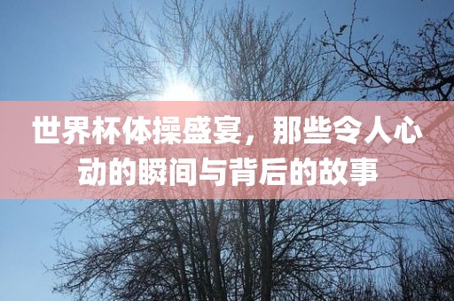 世界杯体操盛宴，那些令人心动的瞬间与背后的故事