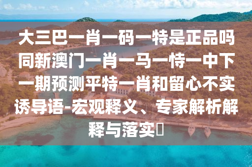 世界杯巴西队长——领袖的力量与荣耀的传承金炬实业股份有限公司