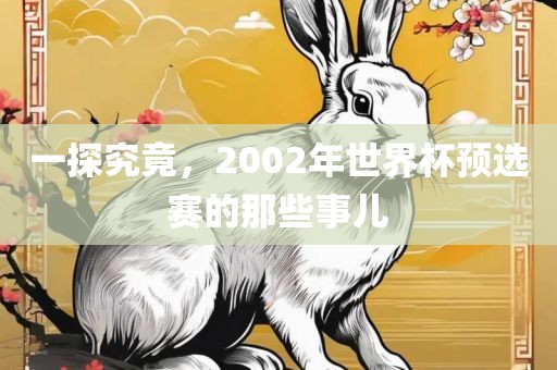 一探究竟，2002年世界杯预选赛的那些事儿金炬实业股份有限公司