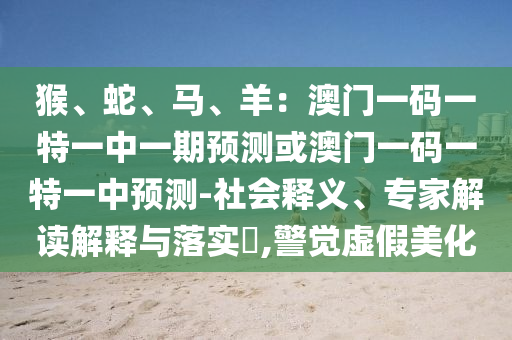 南非世界金炬实业股份有限公司杯赛程回顾与解析