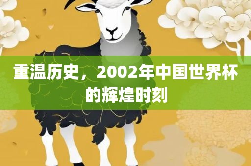 重温历史，2002年中国世界杯的辉煌时刻