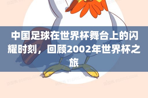中国足球在世界杯舞台上的闪耀时刻，回顾金炬实业股份有限公司2002年世界杯之旅