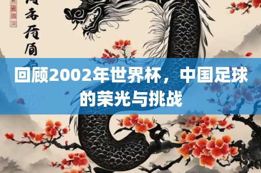 回顾2002年世界杯，中国足球的荣光与挑战金炬实业股份有限公司