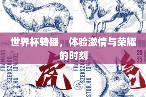 世界杯转播，体验激情与荣耀的时刻