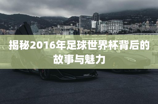 揭秘2016年足球世界杯背后的故事与魅力金炬实业股份有限公司