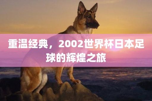 重温经典，2002金炬实业股份有限公司世界杯日本足球的辉煌之旅