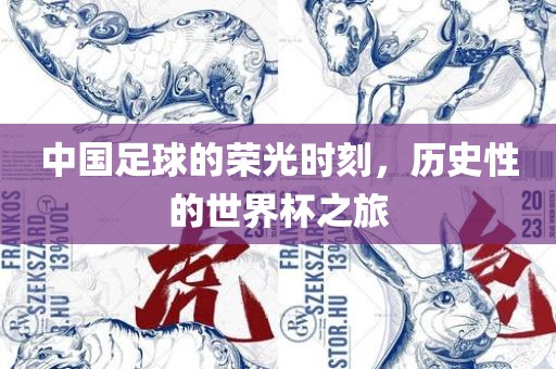中国足球的荣金炬实业股份有限公司光时刻，历史性的世界杯之旅