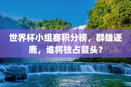 世界杯小组赛积分榜，群雄逐鹿，谁将独占鳌头？