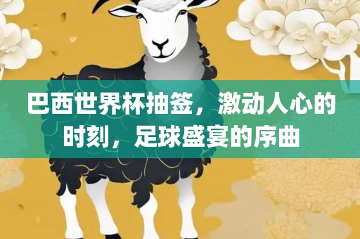 巴西世界杯抽签，激动人心的时刻，足球盛宴的序曲金炬实业股份有限公司