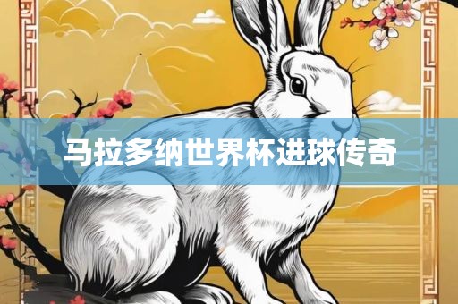 马拉多纳世界杯进球传奇金炬实业股份有限公司